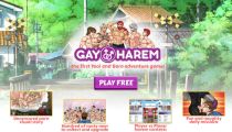 Gay Harem 3D simulator gay games